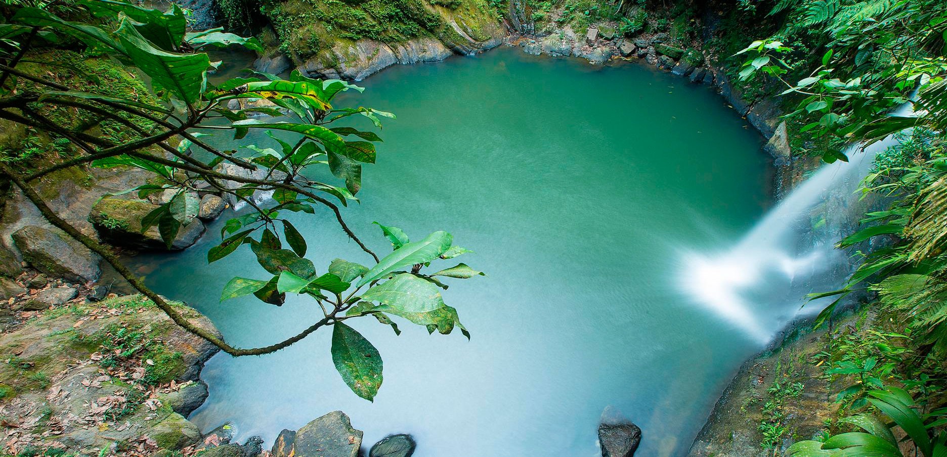 Tour a Catarata Carpishuyacu