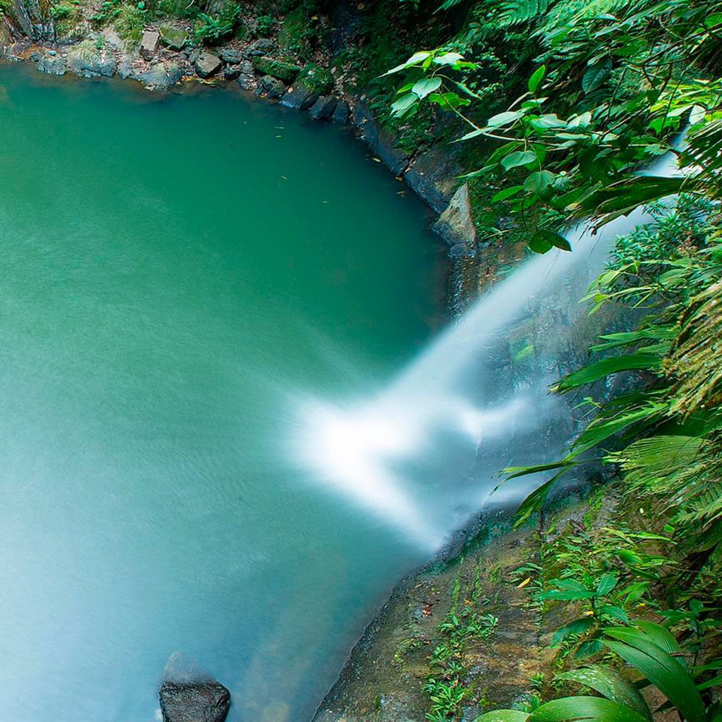 Tour Catarata Carpishuyacu